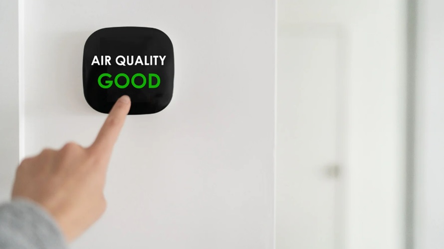 Understanding the Relationship Between Mold and Indoor Air Quality