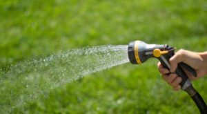 When to Stop Watering Your Lawn in the Winter?