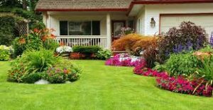 Gardening in Toronto: 4 Types of Grass for Your Lawn and How to Grow Them