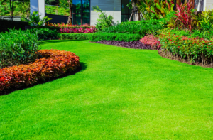 The Ultimate Guide to Lawn Care Services: What You Need to Know Before Hiring