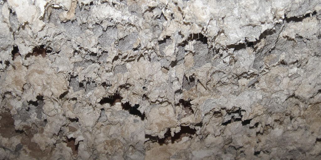 Asbestos and Its Historical Use in Public Housing