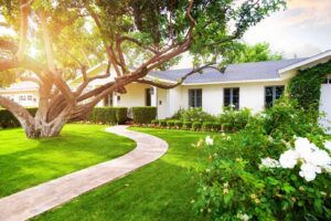Pick the Perfect Grass Type to Boost Your Home Curb Appeal Fast
