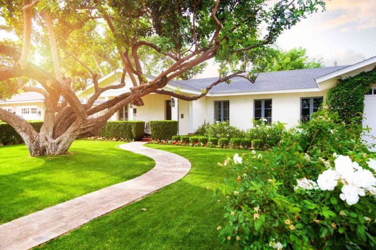 Pick the Perfect Grass Type to Boost Your Home Curb Appeal Fast