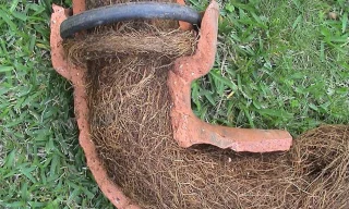 When Is Drain Cleaning Necessary After Tree Removal?