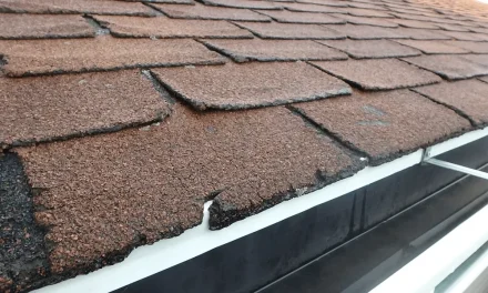 Could Your Roof Stop an Ember Before Santa Anas Arrive?